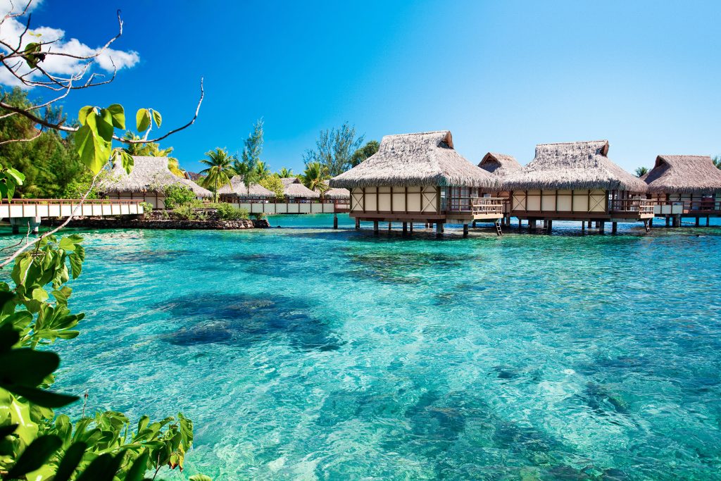 Over water bungalows with over amazing green lagoon
