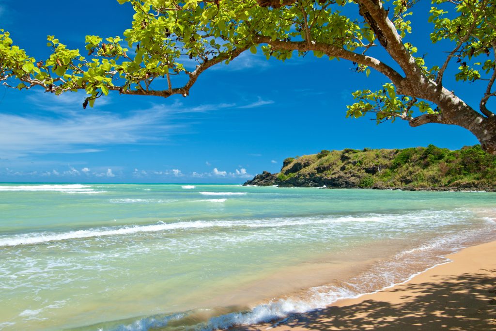 Puerto Rico, USA 2025 06 12 07 54